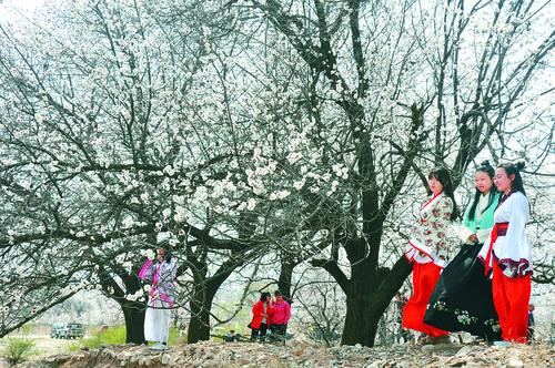 yd2333云顶电子 云顶智能芯片概念图